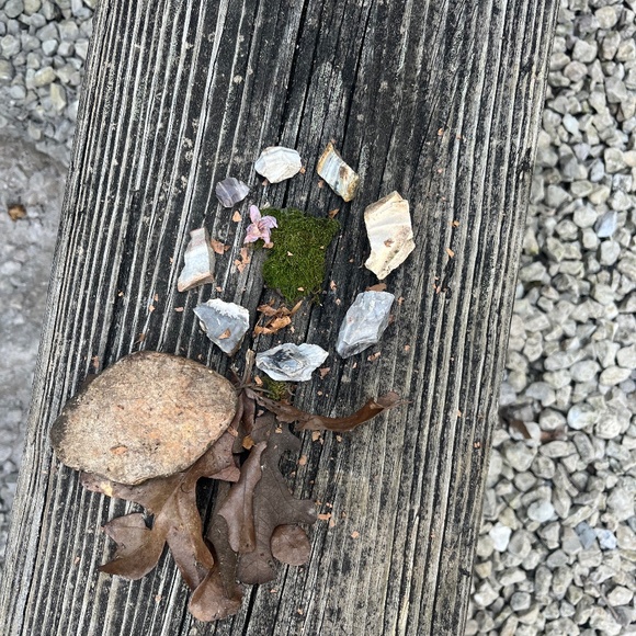 Meet your Posher, Melissa - Picture 1 of 1